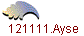 121111.Ayse