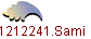 1212241.Sami