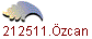 1212511.�zcan