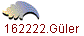 162222.G�ler